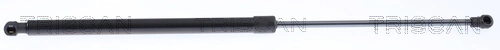 Gas Spring, boot/cargo area