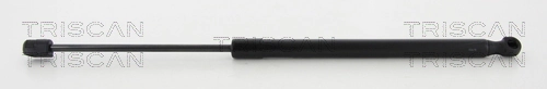 Gas Spring, boot/cargo area
