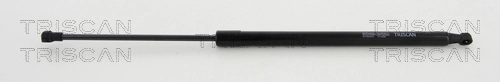 Gas Spring, boot/cargo area