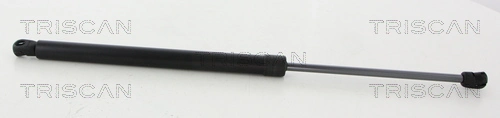 Gas Spring, boot/cargo area