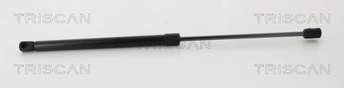 Gas Spring, boot/cargo area