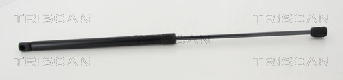 Gas Spring, boot/cargo area