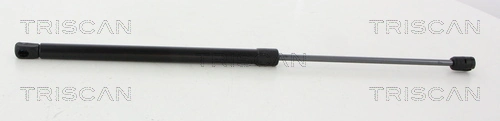 Gas Spring, boot/cargo area