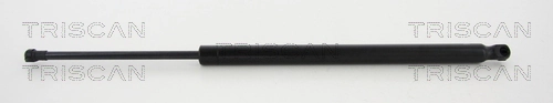 Gas Spring, boot/cargo area