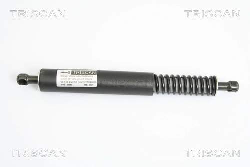 Gas Spring, boot/cargo area