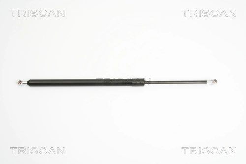 Gas Spring, boot/cargo area