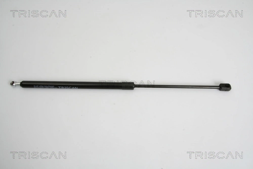 Gas Spring, boot/cargo area