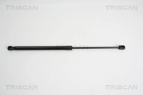 Gas Spring, boot/cargo area