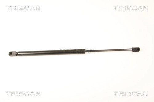 Gas Spring, boot/cargo area