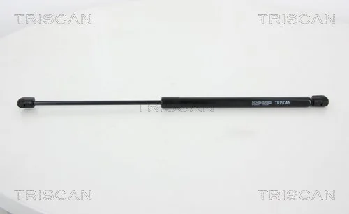 Gas Spring, boot/cargo area