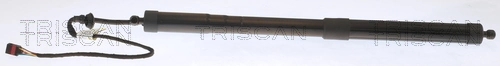 Gas Spring, boot/cargo area
