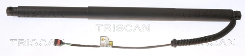 Gas Spring, boot/cargo area