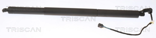 Gas Spring, boot/cargo area