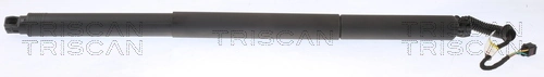 Gas Spring, boot/cargo area