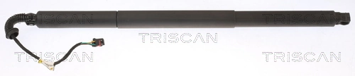 Gas Spring, boot/cargo area