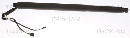 Gas Spring, boot/cargo area