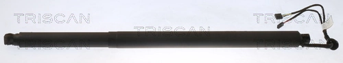 Gas Spring, boot/cargo area