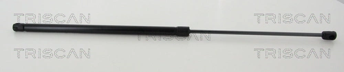 Gas Spring, boot/cargo area