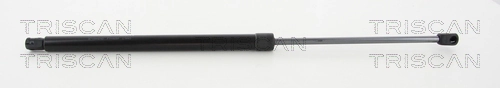 Gas Spring, boot/cargo area