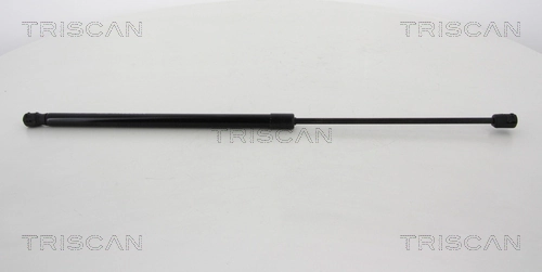 Gas Spring, boot/cargo area