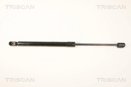 Gas Spring, boot/cargo area