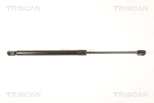Gas Spring, boot/cargo area