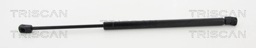 Gas Spring, boot/cargo area