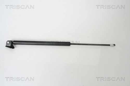 Gas Spring, boot/cargo area