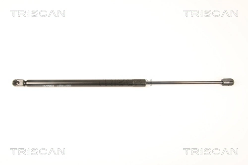 Gas Spring, boot/cargo area