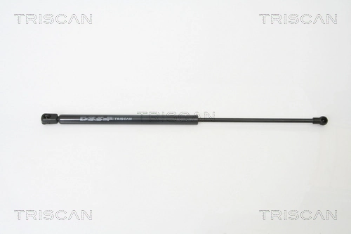 Gas Spring, boot/cargo area