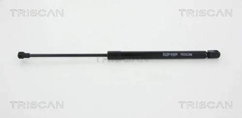 Gas Spring, boot/cargo area