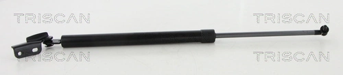 Gas Spring, boot/cargo area
