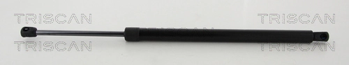 Gas Spring, boot/cargo area