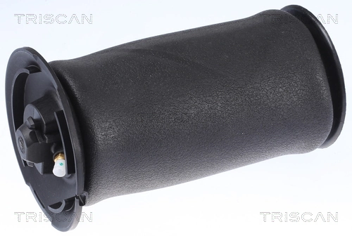 Air Spring, suspension