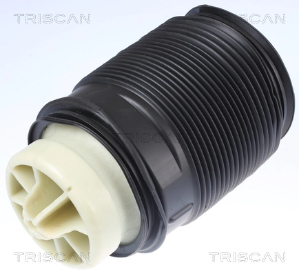 Air Spring, suspension