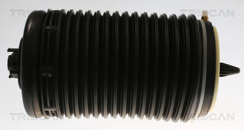 Air Spring, suspension