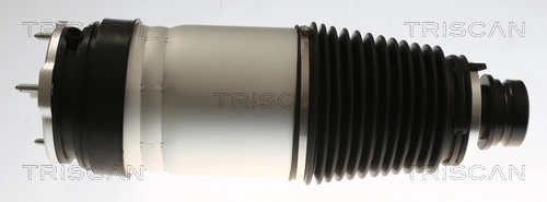 Air Spring, suspension