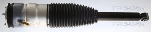 Air Spring, suspension