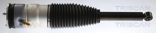 Air Suspension Strut