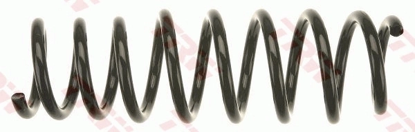 Suspension Spring
