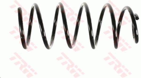 Suspension Spring