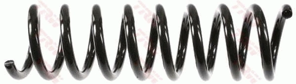 Suspension Spring