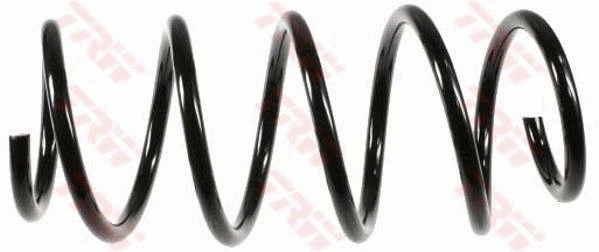 Suspension Spring