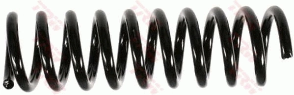 Suspension Spring
