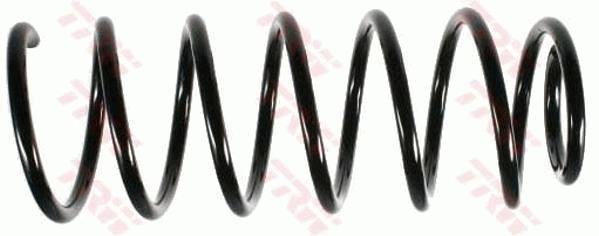 Suspension Spring