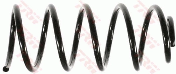 Suspension Spring
