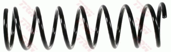 Suspension Spring