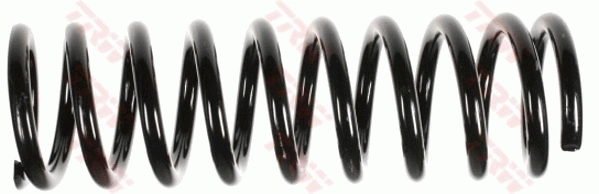 Suspension Spring