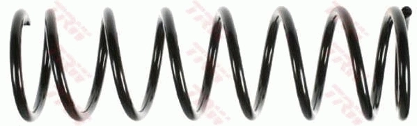 Suspension Spring