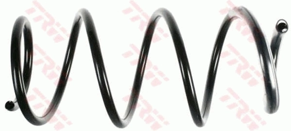 Suspension Spring